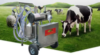 Vache et Chèvre Cluster Portable SS 304 Double Seaux Électrique Cuivre Moteur Pompe À Vide Machine À Traire