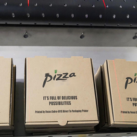 Nueva Impresora Automática de Etiquetas/Papel Tapiz Focus Falcon491 Mini, Directo de Fábrica |   Impresión de Bolsas de Papel Kraft Flexibles Digitales con Tinta de Colorante
