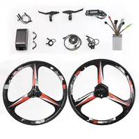 Hub Conversion Kit with Batteries, Mid Drive Battery