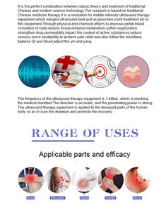 Peralatan Terapi Fisik Hewan dengan Terapi <span class=keywords><strong>Ultrasound</strong></span> yang Disesuaikan - Product Image 3
