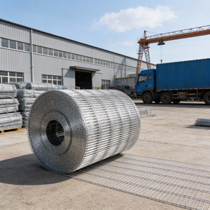 Evcil Kuş Kafesi için Galvanizli Uzun Delikli Metal Tel Örgü Düz Dokuma Tekniği - Product Image 5