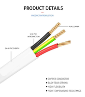 Câble plat PVC TPS en cuivre toronné 2 conducteurs + terre et 3 conducteurs + terre 2,5 mm, câble double et terre 450/750V pour usage domestique