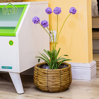 Yrhome Nouveaux pots de fleurs modernes en osier tressé, faits à la main, écologiques et enduits, pour la maison et le jardin