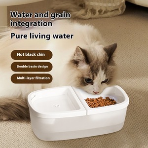 Comedero automático para mascotas dos en uno, cuenco para perros y gatos de acero y plástico para uso familiar transfronterizo directo de fábrica para <span class=keywords><strong>trabajo</strong></span> de <span class=keywords><strong>ONG</strong></span> - Product Image 2