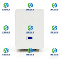 BOX-E/OEM 15,36 kWh 51,2 V LiFePO4 Batterie solaire murale pour système de stockage d'énergie domestique IP65 Communication CAN