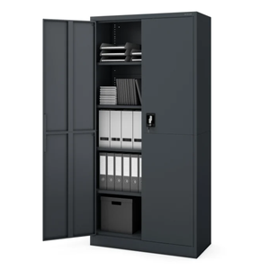 Armoire de rangement à 2 portes en acier, usage général, mobilier de bureau, métal, gris, bureau à domicile, moderne - Product Image 1