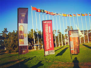 Углеродно композитный ветровка арфа перо Акулий плавник крыло баннеры флаг - Product Image 5