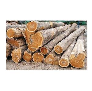 ไม้สักเกรดสำหรับการค้าไม้ซุงทรงกลม - Product Image 1