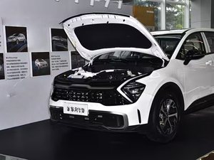 KIA Seltos <span class=keywords><strong>Sportage</strong></span> 2025 1.5 T 2WD Edición Prestige |   Vehículo de 5 Puertas y 5 Asientos con Motor de Bajo Consumo y Autonomía de 601-700 <span class=keywords><strong>km</strong></span> - Product Image 4