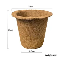 Pots à semis biodégradables à 100 %, respectueux de l'environnement, en fibre de coco, fabriqués par des fabricants de pots à semis respectueux de l'environnement