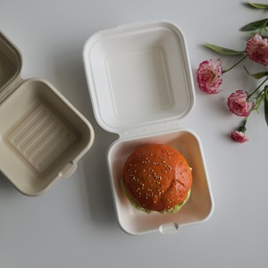 Vaisselle jetable biodégradable en canne à sucre Boîte d'emballage Bento alimentaire respectueuse de l'environnement Assiette Bagasse Pâte à papier Lunchs - Product Image 6