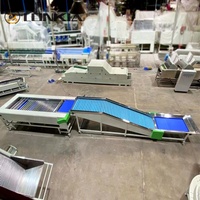 Commerciële Sorteermachine Avocado Tomaat Appel Mango Meloen Aardappel Grootte Sorteermachine