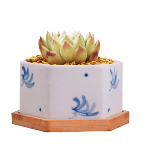 Ensemble de pots à fleurs <span class=keywords><strong>en</strong></span> céramique respirants et résistants à la corrosion, style chinois, motif floral bleu peint à la main, pour plantes succulentes, vert - Product Image 5