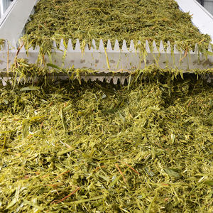 Новая ленточная сушилка для листьев - Product Image 4