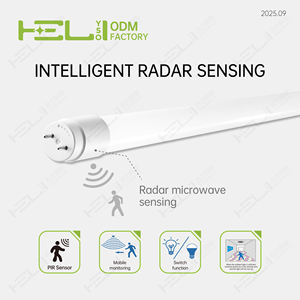 Lanterna de Trabalho LED Portátil de Boa Qualidade 9W 1350Lm 220V/69mA Luz de Emergência LED - Product Image 4