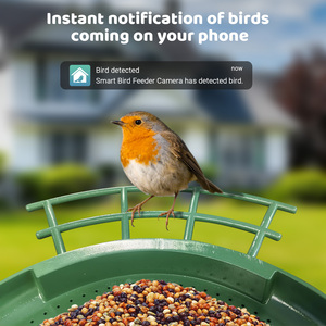 Mangeoire à <span class=keywords><strong>oiseaux</strong></span> intelligente à double caméra 2K HD, alimentée par énergie solaire, capacité de 3 L, vue double à 170 degrés, vision nocturne, contrô<span class=keywords><strong>le</strong></span> par application WiFi - Product Image 4