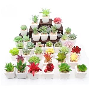 가정용 욕실 또는 작은 공간 장식을위한 플라스틱 냄비에 작은 흰색 인공 다육 식물 - Product Image 3