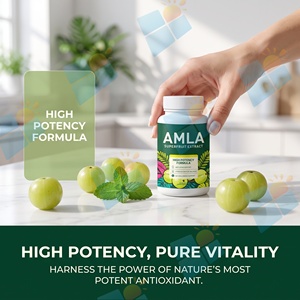 Cápsulas de Extracto de Fruta de Amla (Grosella de India) 60 Unidades, Vitamina C, Antioxidante, Bienestar Diario, Apoyo para la Piel, Fabricante de Marca Personalizada - Product Image 5