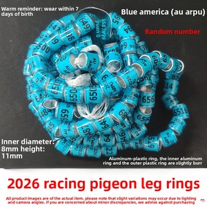 Anillo de Aluminio y Plástico para Patas de <span class=keywords><strong>Palomas</strong></span>, Redondo, para Cría y Competición, 2026 - Product Image 4