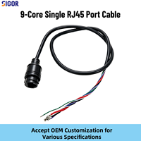Cable de Red POE de 9 Pines Personalizado para Cámara, con Clasificación IP67 a Prueba de Agua, Cable Estañado de un Solo Extremo, para Exteriores, Electrodomésticos