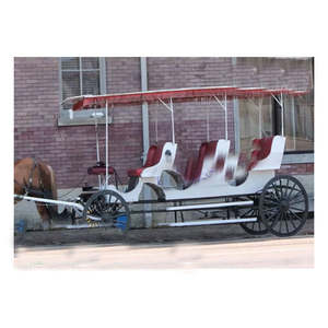 Carruaje de Boda Moderno de Tres Plazas, Tipo Limusina, con Diseño Ligero de Construcción en Metal y Madera - Product Image 4