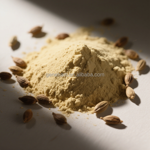 Extracto de semilla de fenogreco soluble 70%, bebida en polvo y suplemento dietético con saponina de fenogreco de alta concentración - Product Image 1