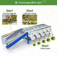 Industriële sorteermachine voor kokosnoot, bosbes, granaatappel, perzik, jujube, knoflook en ander fruit.