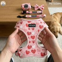 Ensemble de harnais et laisse pour chien et chat, design personnalisé de Noël, respirant, avec bandana réglable
