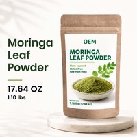 Bubuk Daun Murni Antioksidan Berbasis Tumbuhan Bubuk Daun Moringa Produsen OEM