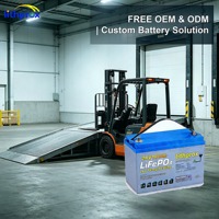 Batterie de traction pour chariot élévateur 24V 100AH à technologie LFP avancée, BMS intelligent, anti-vibration, pour équipement d'entrepôt, CE RoHS UN38.3 OEM