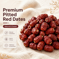 OEM Bulk Gezaagde Rode Dadels Natuurlijk Zoete Zachte Kauwbare Jujube Fruit Groente Snack Klaar om te Eten 12 Maanden Houdbaarheid Heerlijk
