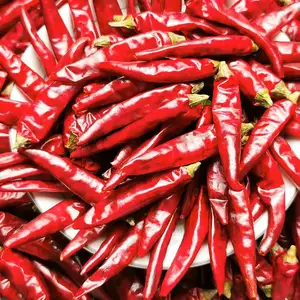SFG factory spice supplier wholesale dried red chili pepper dried chilies dry red chilli pepper
