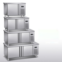110V/60Hz Mousse Porte Chef Base Viande Pizza Workbench Congélateur