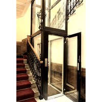 Ascenseur de villa sans machine, capacité 500 kg, démarrage et arrêt fluides, installation facile, ascenseur domestique