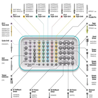 Kit chirurgical Osstem universel de haute qualité pièce à main dentaire équipement en acier inoxydable restauration d'implant boîte à outils conique