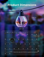 Guirlandes lumineuses solaires intelligentes RGBW, étanches IP67, pour extérieur, avec ampoules G60 en forme de pomme, pour l'ambiance du jardin et du camping