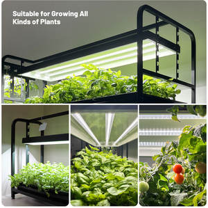 <span class=keywords><strong>Support</strong></span> <span class=keywords><strong>en</strong></span> fer pour kit de culture hydroponique de plantes d'intérieur et de jardin avec lumières LED, <span class=keywords><strong>hauteur</strong></span> <span class=keywords><strong>réglable</strong></span>, roues mobiles et <span class=keywords><strong>jardinière</strong></span> moderne pour légumes - Product Image 5