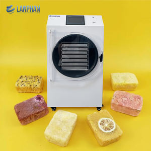 เครื่องอบแห้งแบบแช่เยือกแข็ง 15 กก. 3000 วัตต์ สำหรับใช้ในบ้าน พร้อมปั๊ม สำหรับแปรรูปอาหาร ผลไม้ เนื้อสัตว์ และไอศกรีม - Product Image 5