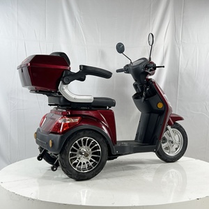 Electric <strong>Tricycle</strong> for Adults 3 Wheel Cargo Trike with Large Rear Basket Passenger Electric <strong>Bike</strong> for <strong>Seniors</strong> Daily Commuting - Product Image 5