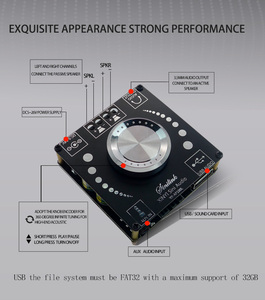XY-AP100L XINYI Sini Audio บอร์ดเพาเวอร์แอมป์ดิจิตอลสเตอริโอ 100W แบบสองช่องสัญญาณ ปรับเสียงได้ 360 องศาแบบไร้ขั้นบันได - Product Image 2