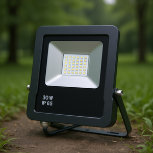 Faretto LED da Esterno 30W IP65 Impermeabile - Product Image 3