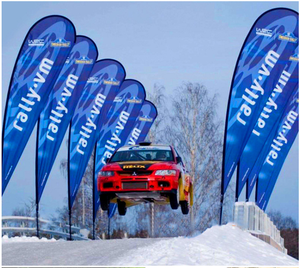 Печать на заказ уличные пляжные флаги с перьями 3,4 м - Product Image 1