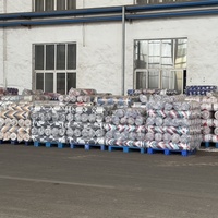 Tissu en polyester à impression dispersée de poids lourd pour la fabrication de draps, de parures de lit, de rideaux, de draps-housses