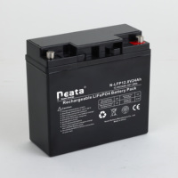 Paket Baterai Lithium Ion Phosphate Neata LiFePO4 LFP 12.8V 20Ah 24Ah Baterai LiFePO4 12V