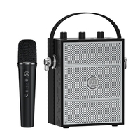 Enceinte Bluetooth personnalisée pour l'intérieur et l'extérieur, portable, pour fêtes, lecteur audio, enceinte sans fil avec microphone