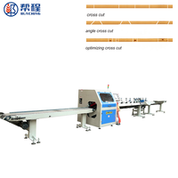 Scie circulaire horizontale numérique Bunching BC-300 380V 15,5 kW avec alimentation automatique pour le traitement des parquettes en bois dur