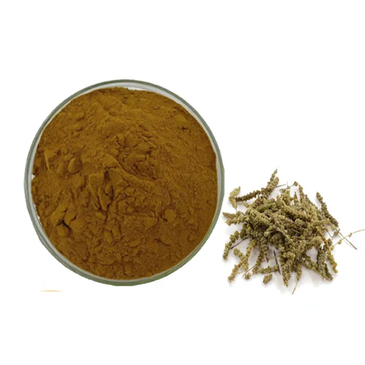 Herbasea-extracto de hierba gatera en polvo, extracto de Nepeta Cataria, 10:1