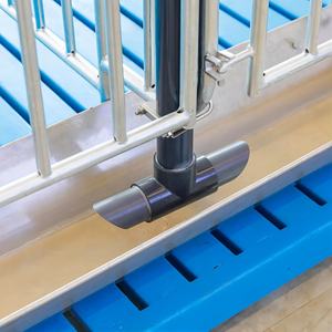 New Durable Hot Dip Galvanized Steel Pig Gestation Crate for Pig Farm with Customized Sizes and Long <b>Service</b> Life - Product Image 6