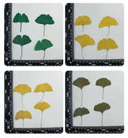 Adesivi in Resina Epossidica con Foglie di Ginkgo Naturali, Ecologici, Fiori Veri Pressati, Segnalibro con Foglie di Ginkgo