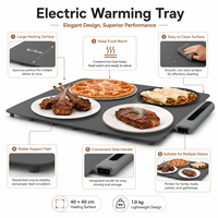 Plateau chauffant électrique 40x40cm, grande plaque chauffante pour buffet, fête, dîner familial, table, cuisine, vente en gros